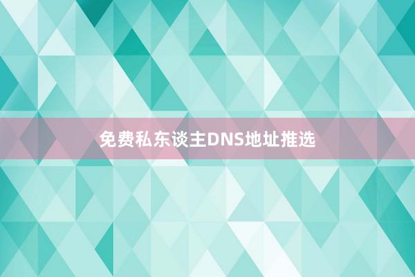免费私东谈主DNS地址推选